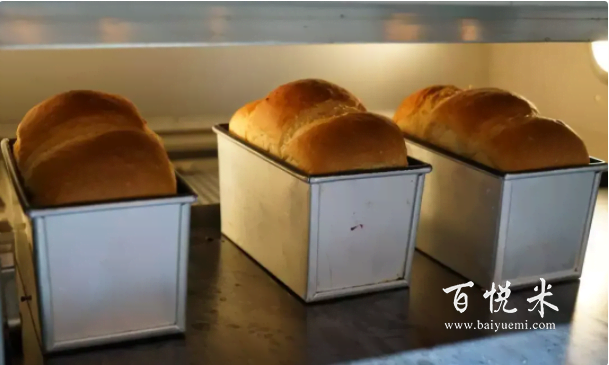 零基礎(chǔ)的新手小白怎么烘焙?看完這篇就夠了